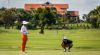 Golf Tour Packages